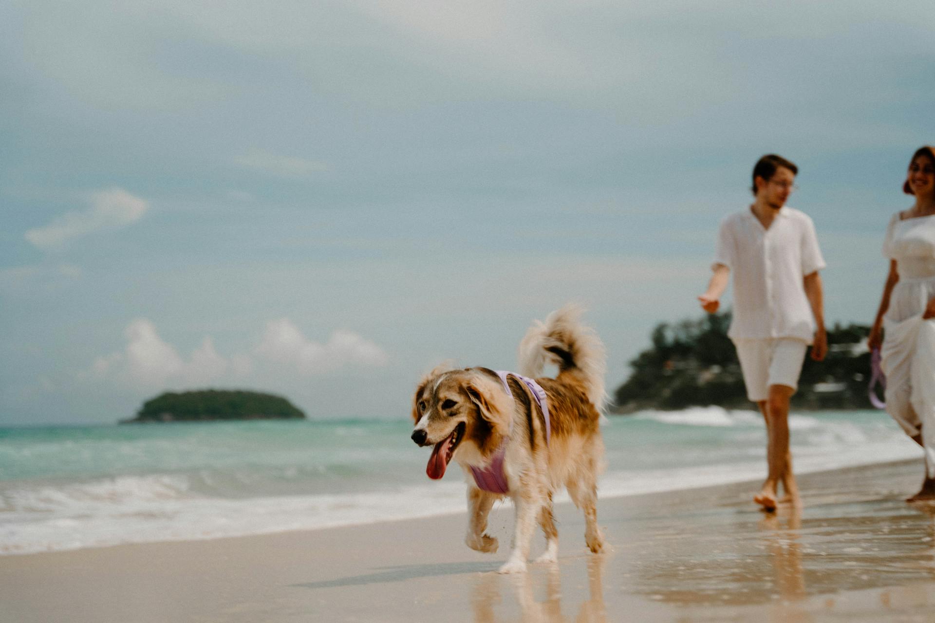 Explore Phi Phi’s safe tropical landscapes with confidence